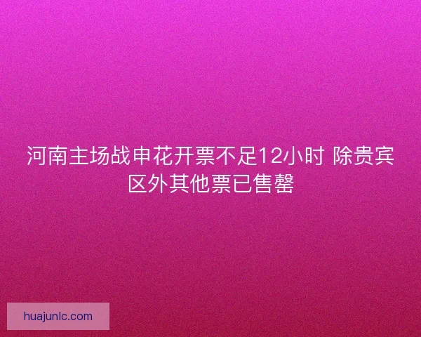 河南主场战申花开票不足12小时 除贵宾区外其他票已售罄